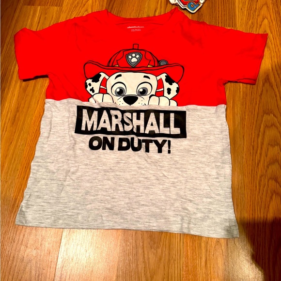 Paw Patrol “ Marshall” Gray Boys T-Shirt - Picture 3 of 6
